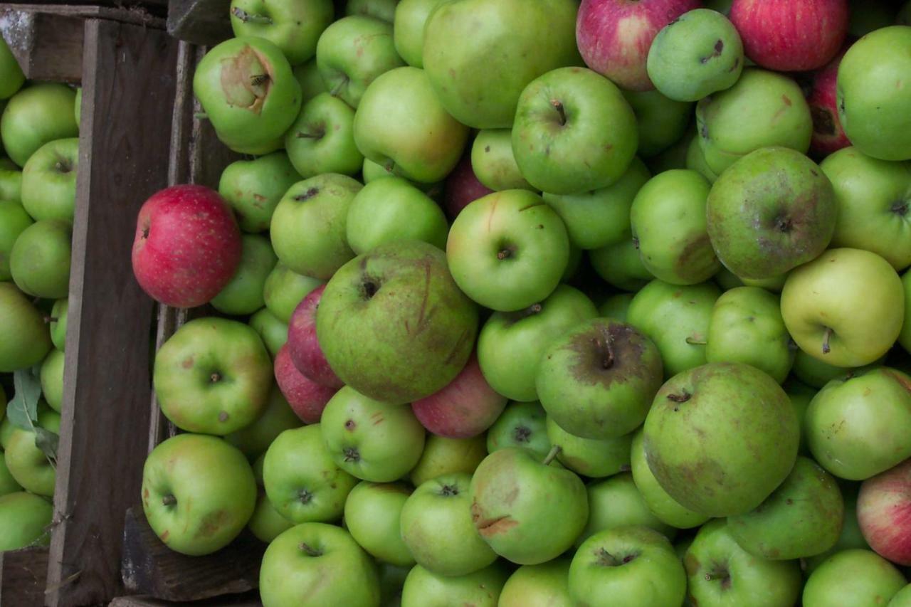 Appel-Ranch Lägenhet Bockelwitz Exteriör bild
