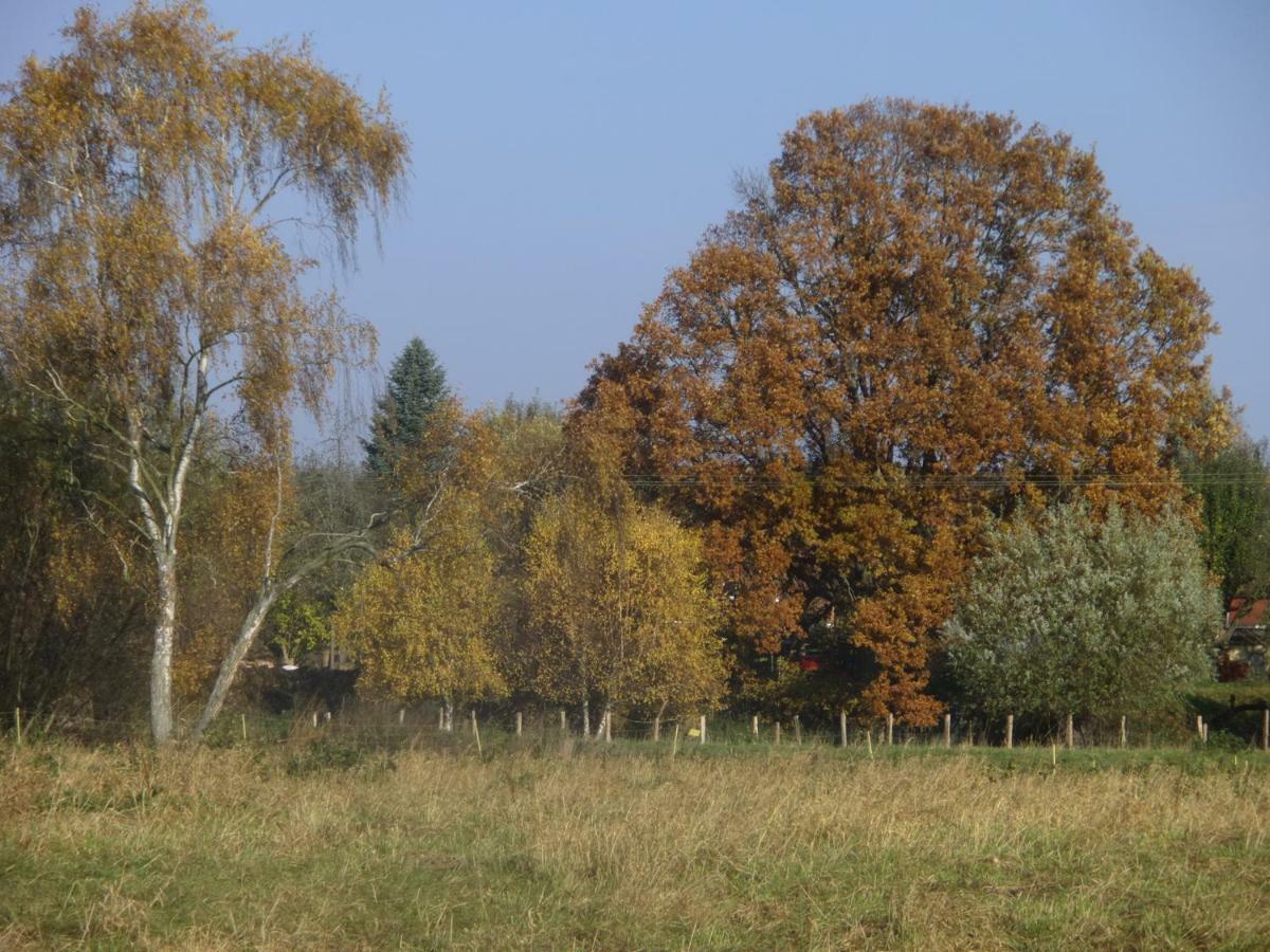 Appel-Ranch Lägenhet Bockelwitz Exteriör bild